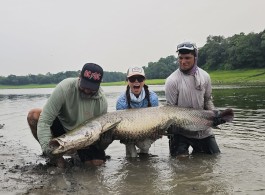 Pirarucú Season 2024 | Fishing report week 02