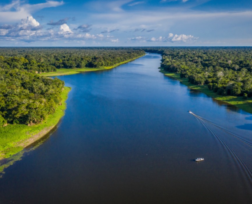 PIRARUCÚ IS LOCATED IN THE MAMIRAUÁ RESERVE, THE LARGEST WILD ARAPAIMA RESERVE ON EARTH.