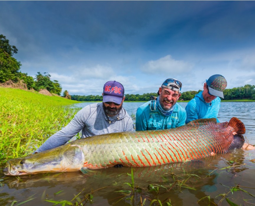 Pirarucú is the first and only project allowed and supported by the Brazilian government with focus on fly fishing for arapaima.